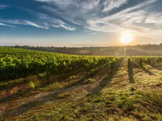 Roadtrip in Bordeaux and Dordogne