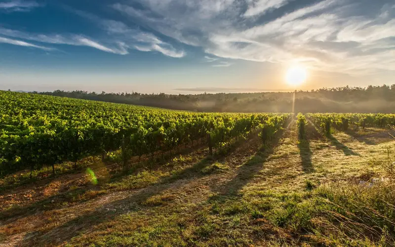 Roadtrip in Bordeaux and Dordogne
