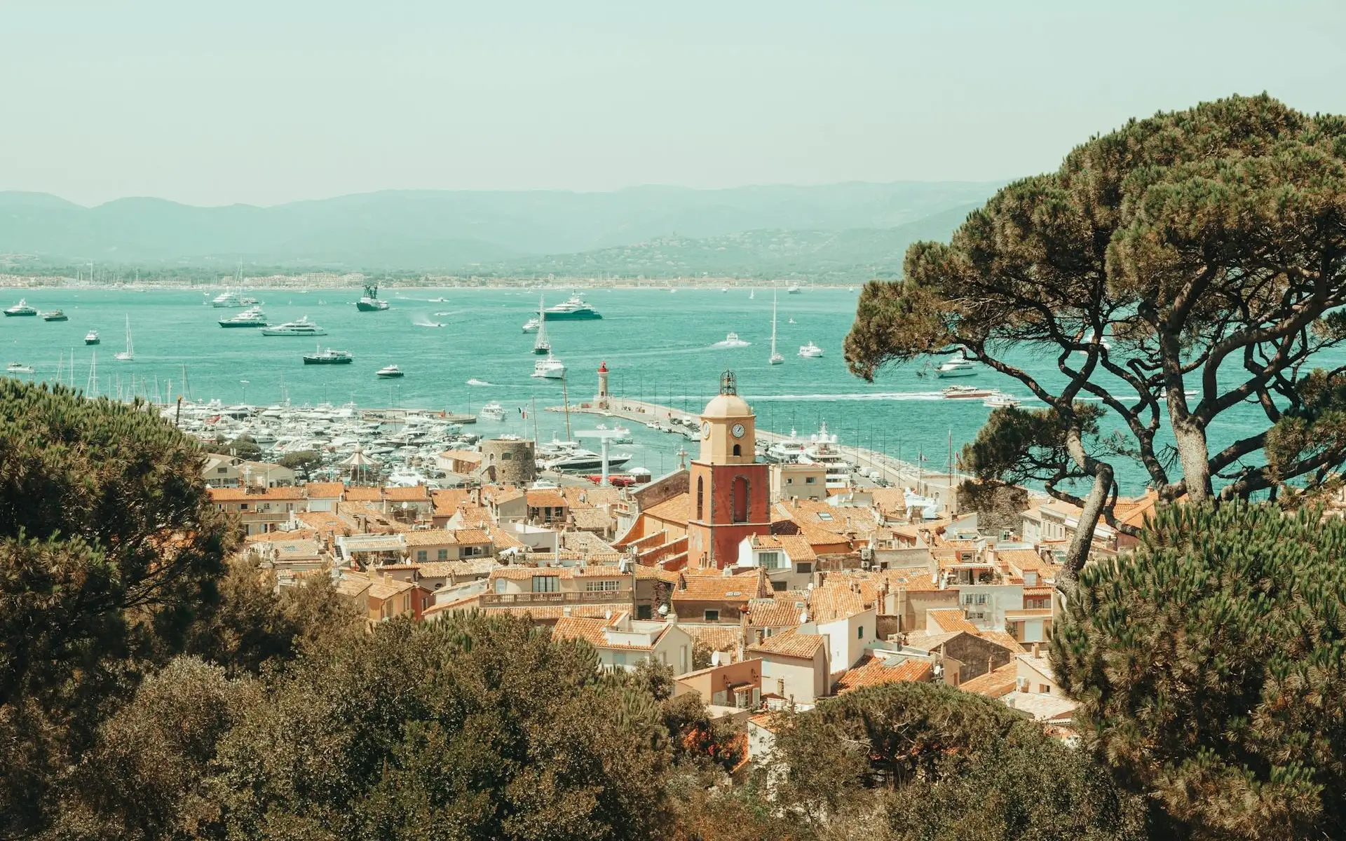 Flavors and Landscapes of the Blue Coast