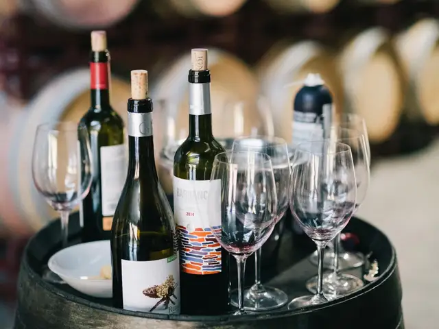 Bordeaux blending, Cognac Getaway in 6 Days: Distilleries, Vineyards & Bordeaux Blending