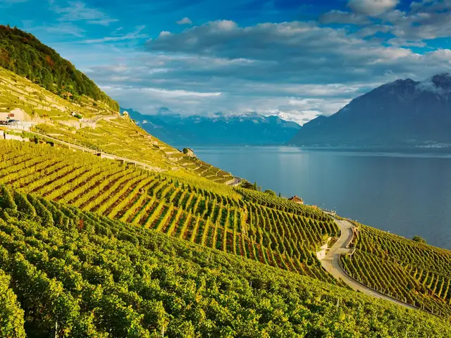 Lavaux