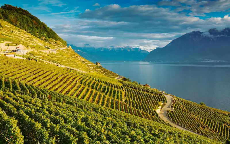 Lavaux