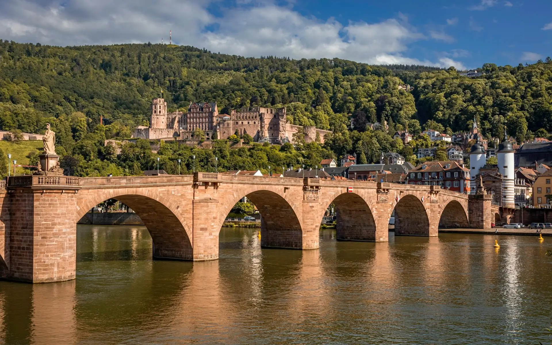 Heidelberg 3