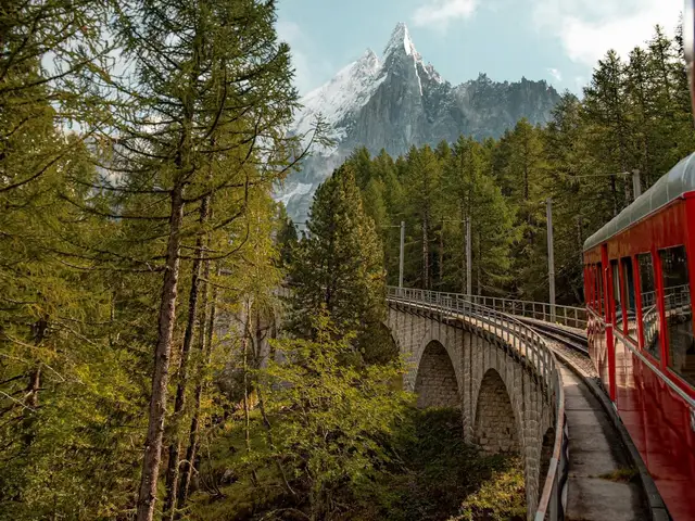 Train (2)